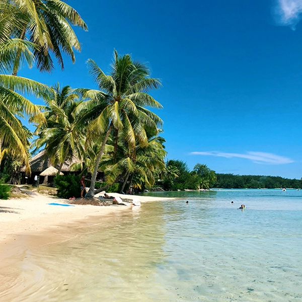 Plage bordée de palmiers en Polynésie